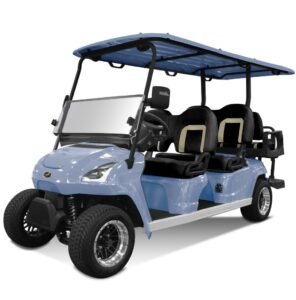 6 Passenger Golf Cart