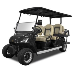 6 Passenger Golf Cart