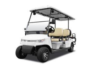 6 Passenger Golf Cart