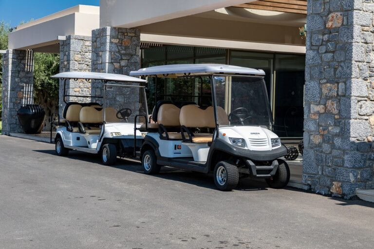 6 passenger golf cart