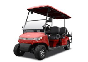 6 Passenger Golf Cart