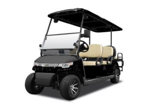 6 Passenger Golf Cart